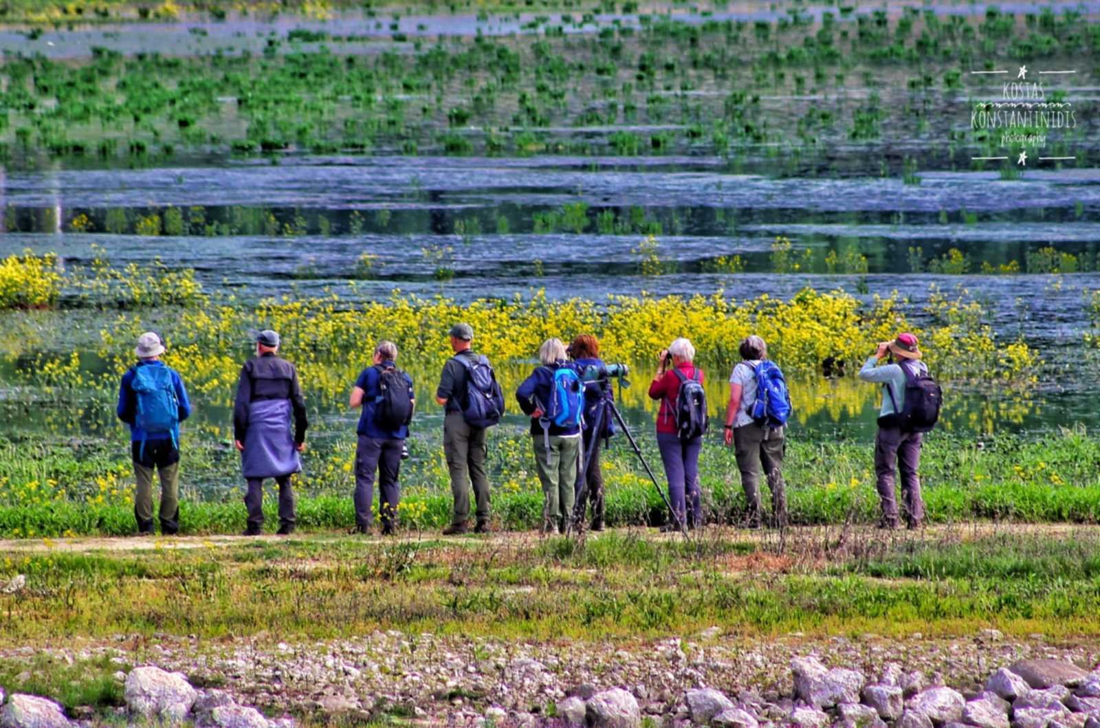 Group of birdwatchers with cameras and tripods observing wildlife at Lake Kerkini wetlands in Greece